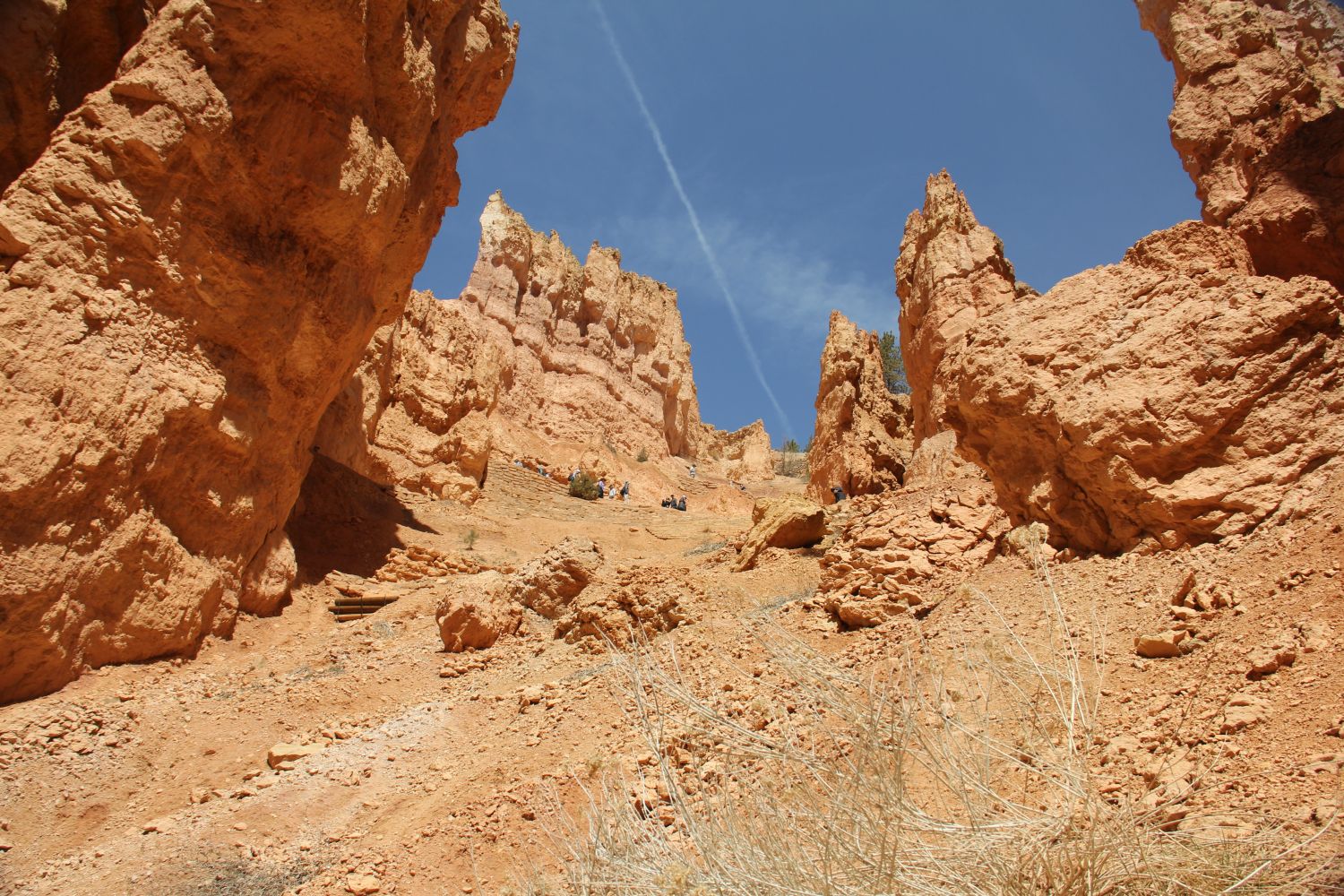 Queens/Navajo 